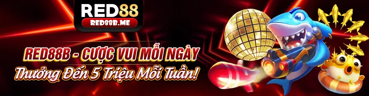 Hình ảnh chính blog AV888, nền tảng cá cược trực tuyến chuyên nghiệp