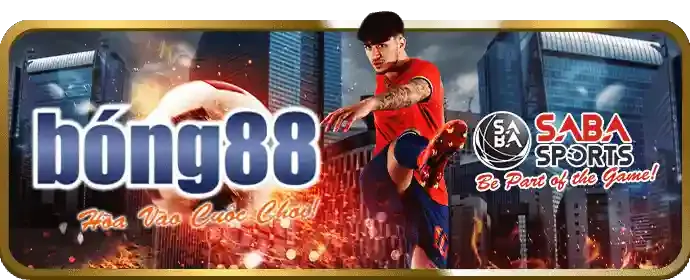 Đá gà AV888