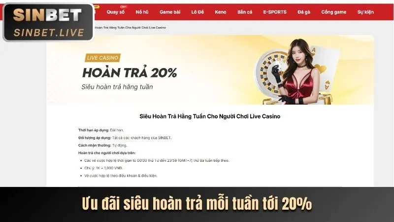 Biểu tượng hoàn trả tiền cược